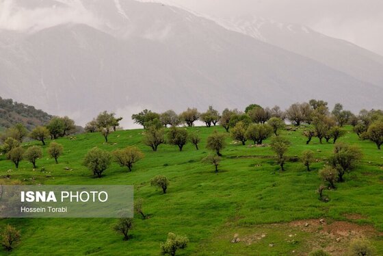 ایران زیباست | طبیعت بهاری چهارمحال و بختیاری
