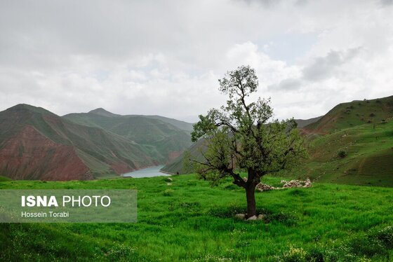 ایران زیباست | طبیعت بهاری چهارمحال و بختیاری
