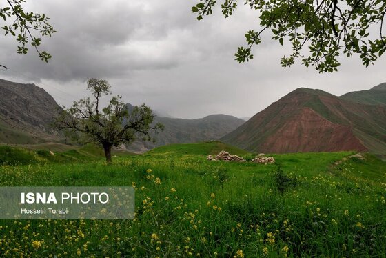 ایران زیباست | طبیعت بهاری چهارمحال و بختیاری