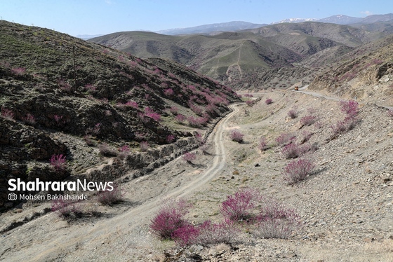 ایران زیباست | «ارغوان» پنجه‌ی خونین زمین