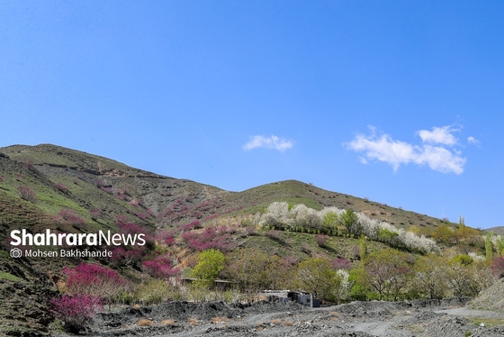 ایران زیباست | «ارغوان» پنجه‌ی خونین زمین