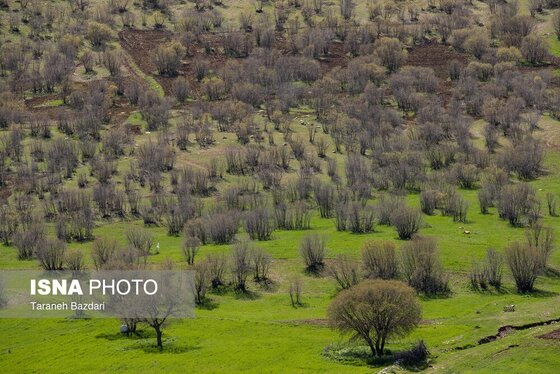 ایران زیباست | هفت حوض مخملکوه - لرستان