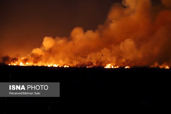 مهار آتش در تالاب میقان اراک پس از ۸ ساعت + عکس و فیلم