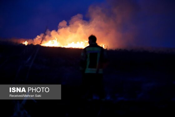 مهار آتش در تالاب میقان اراک پس از ۸ ساعت + عکس و فیلم