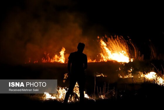 مهار آتش در تالاب میقان اراک پس از ۸ ساعت + عکس و فیلم