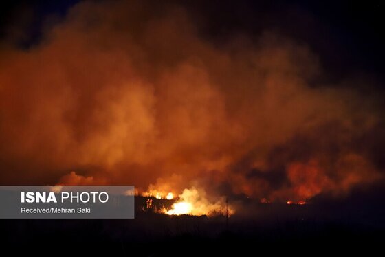 مهار آتش در تالاب میقان اراک پس از ۸ ساعت + عکس و فیلم