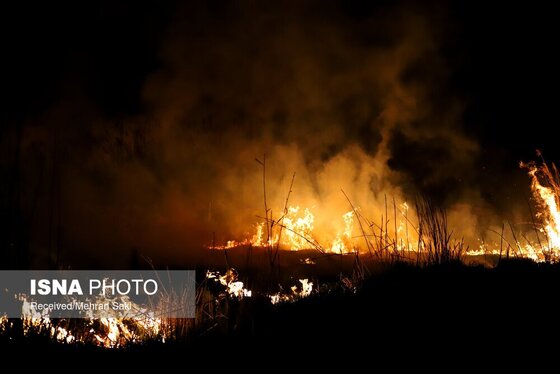 مهار آتش در تالاب میقان اراک پس از ۸ ساعت + عکس و فیلم