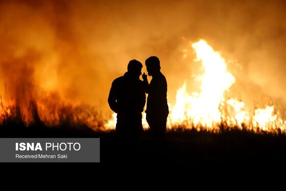 مهار آتش در تالاب میقان اراک پس از ۸ ساعت + عکس و فیلم