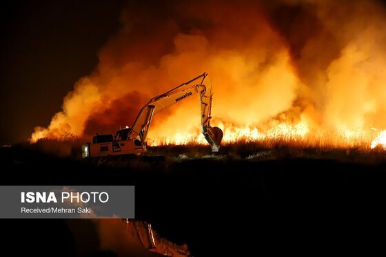 مهار آتش در تالاب میقان اراک پس از ۸ ساعت + عکس و فیلم