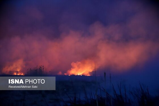 مهار آتش در تالاب میقان اراک پس از ۸ ساعت + عکس و فیلم
