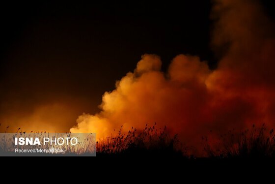 مهار آتش در تالاب میقان اراک پس از ۸ ساعت + عکس و فیلم