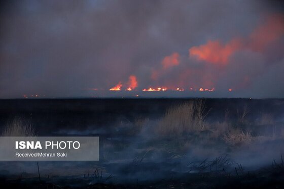مهار آتش در تالاب میقان اراک پس از ۸ ساعت + عکس و فیلم