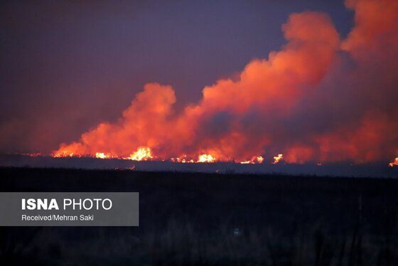 مهار آتش در تالاب میقان اراک پس از ۸ ساعت + عکس و فیلم