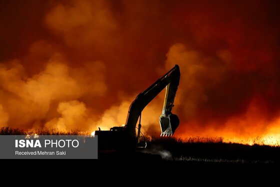 مهار آتش در تالاب میقان اراک پس از ۸ ساعت + عکس و فیلم