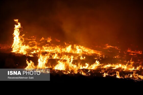 مهار آتش در تالاب میقان اراک پس از ۸ ساعت + عکس و فیلم