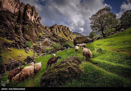 ایران زیباست | طبییعت بهاری منطقه کوهستانی هفت حوض - خرم آباد