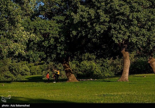 ایران زیباست | طبیعت بهاری منطقه دره اناران سپیدشت خرم آباد