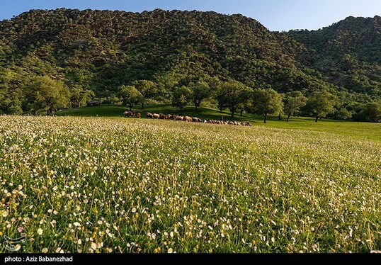 ایران زیباست | طبیعت بهاری منطقه دره اناران سپیدشت خرم آباد