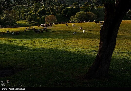 ایران زیباست | طبیعت بهاری منطقه دره اناران سپیدشت خرم آباد