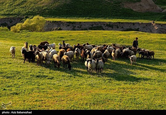 ایران زیباست | طبیعت بهاری منطقه دره اناران سپیدشت خرم آباد
