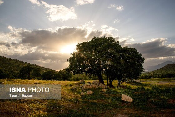 ایران زیباست | جنگل‌های بلوط لرستان