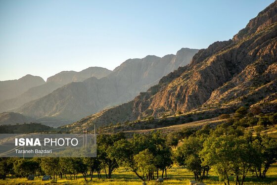 ایران زیباست | جنگل‌های بلوط لرستان