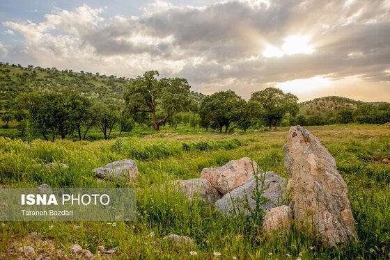 ایران زیباست | جنگل‌های بلوط لرستان