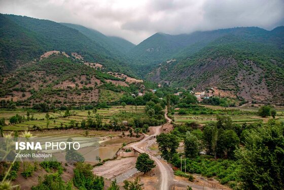 ایران زیباست | برداشت گیلاس در روستای بندبن