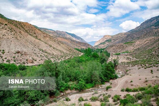 ایران زیباست | برداشت گیلاس در روستای بندبن