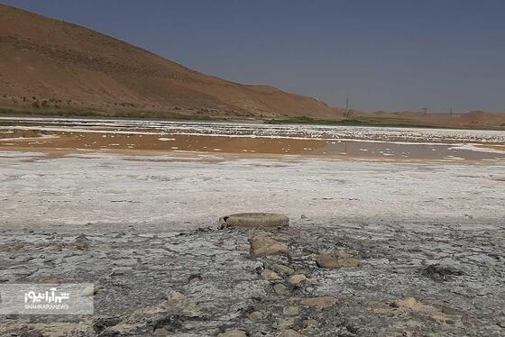 سلسه‌ مراتب زوال بزنگان + فیلم