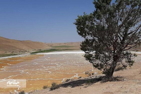 سلسه‌ مراتب زوال بزنگان + فیلم