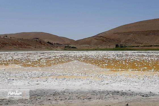 سلسه‌ مراتب زوال بزنگان + فیلم
