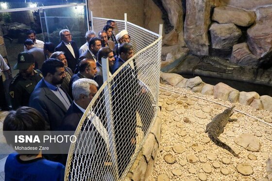 واکنش ضرغامی در مواجهه با یک کروکودیل در مشهد + فیلم و تصاویر