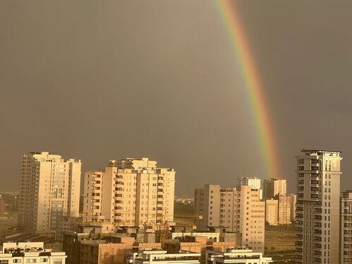 بارش شدید باران در تهران + فیلم و تصاویر (۱۶ مرداد ۱۴۰۲)