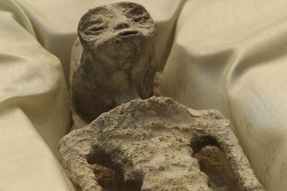 ماجرای پیداشدن موجودات فرازمینی در مکزیک + عکس و فیلم