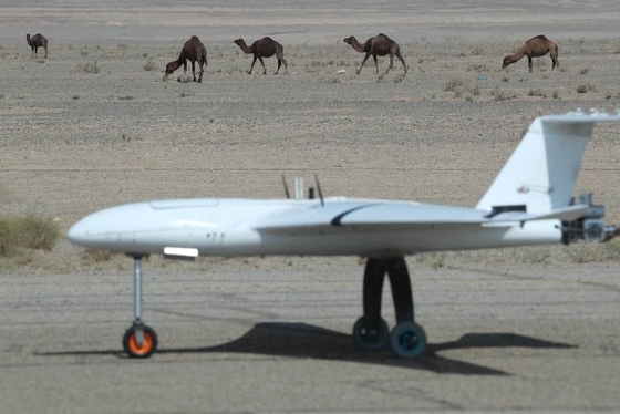 پایان رزمایش مشترک پهپادی ۱۴۰۲ ارتش + تصاویر