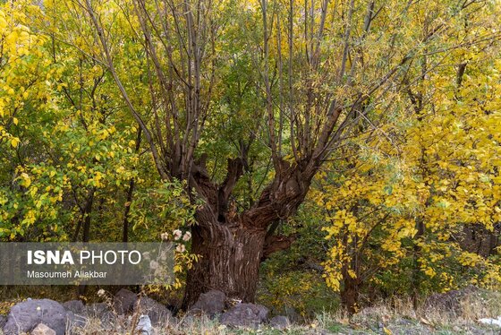 ایران زیباست | طبیعت پاییزی طالقان