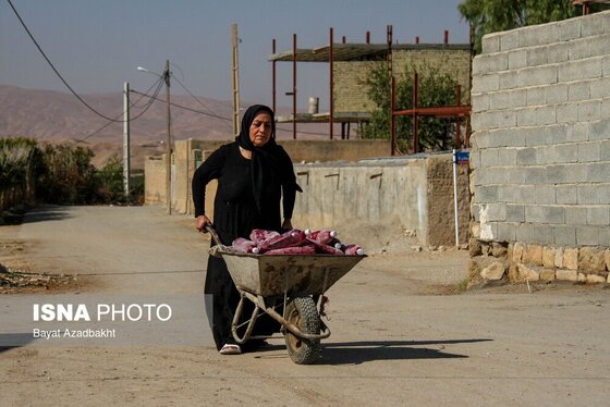ایران زیباست | انارستان تنگ سیاب (کوهدشت)