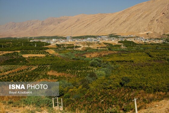 ایران زیباست | انارستان تنگ سیاب (کوهدشت)
