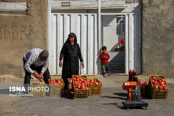 ایران زیباست | انارستان تنگ سیاب (کوهدشت)