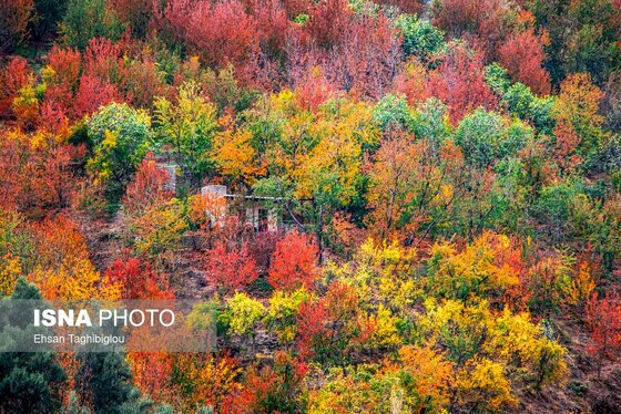 ایران زیباست | پاییز هزار رنگ در روستای «شیت»