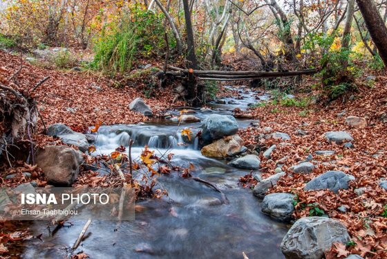 ایران زیباست | پاییز هزار رنگ در روستای «شیت»
