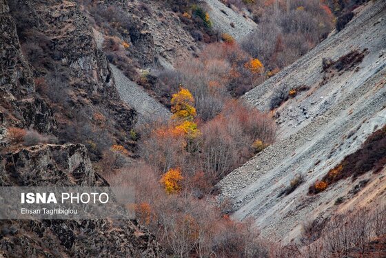 ایران زیباست | پاییز هزار رنگ در روستای «شیت»