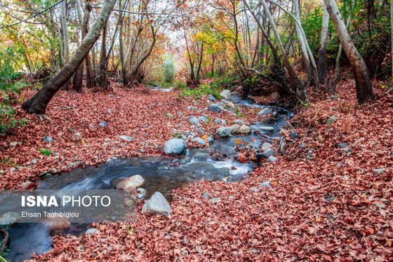 ایران زیباست | پاییز هزار رنگ در روستای «شیت»