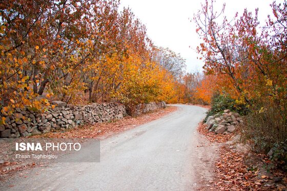 ایران زیباست | پاییز هزار رنگ در روستای «شیت»
