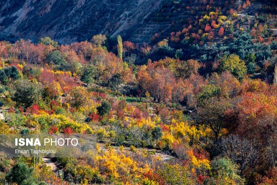 ایران زیباست | پاییز هزار رنگ در روستای «شیت»