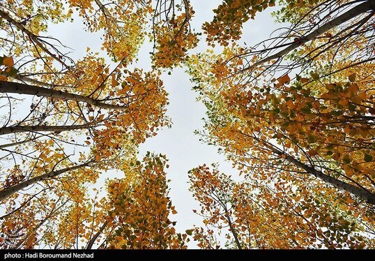 ایران زیباست | پاییز در ارسباران