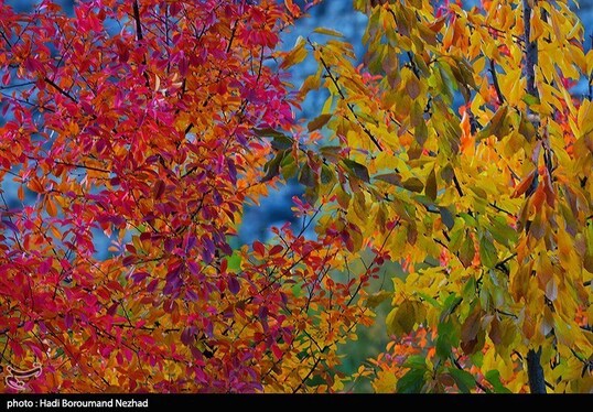 ایران زیباست | پاییز در ارسباران