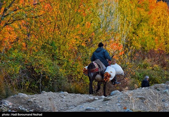 ایران زیباست | پاییز در ارسباران