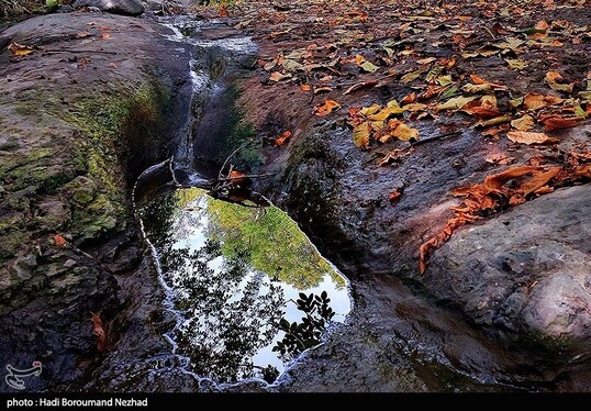 ایران زیباست | پاییز در ارسباران